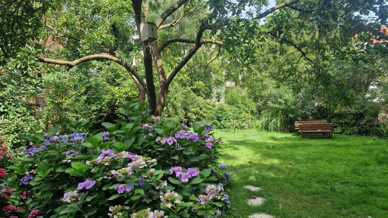 Pension Siewert Dessau-Rosslau Esterno foto